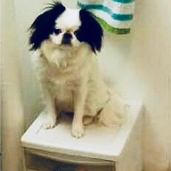 Meet your Posher, Sally - Picture 7 of 8